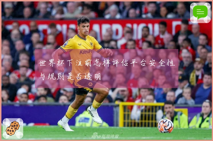 世界杯下注前怎样评估平台安全性与规则是否透明