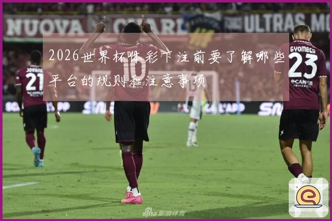 2026世界杯体彩下注前要了解哪些平台的规则和注意事项