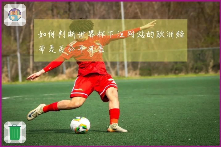 如何判断世界杯下注网站的欧洲赔率是否公平可靠