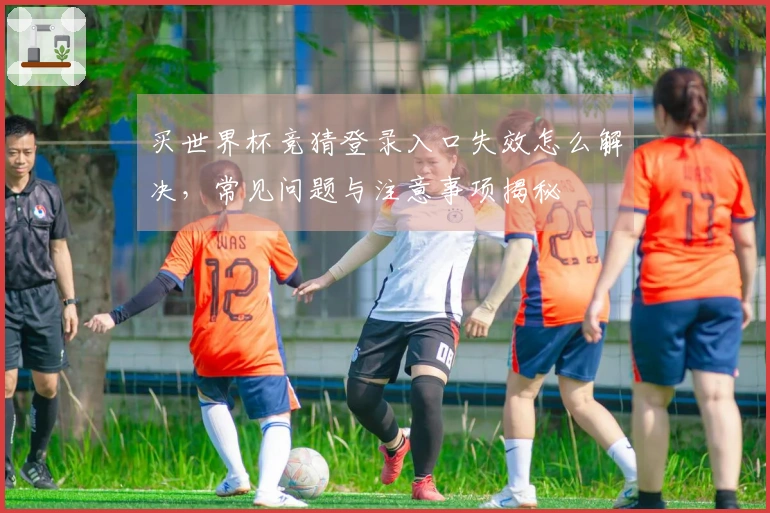 买世界杯竞猜登录入口失效怎么解决，常见问题与注意事项揭秘