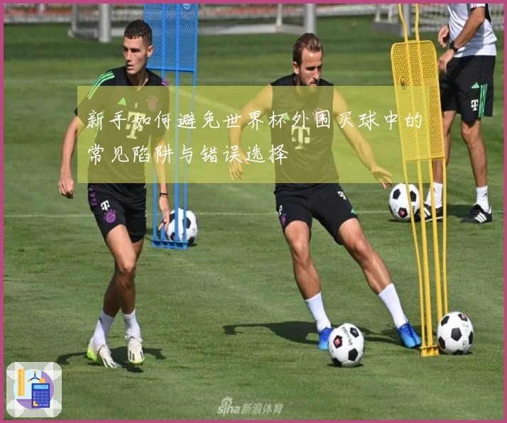 新手如何避免世界杯外围买球中的常见陷阱与错误选择