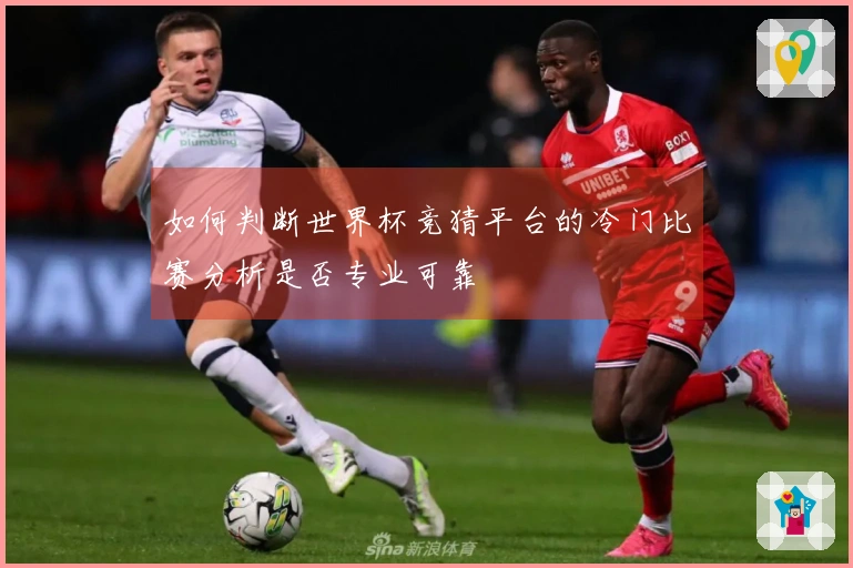 如何判断世界杯竞猜平台的冷门比赛分析是否专业可靠