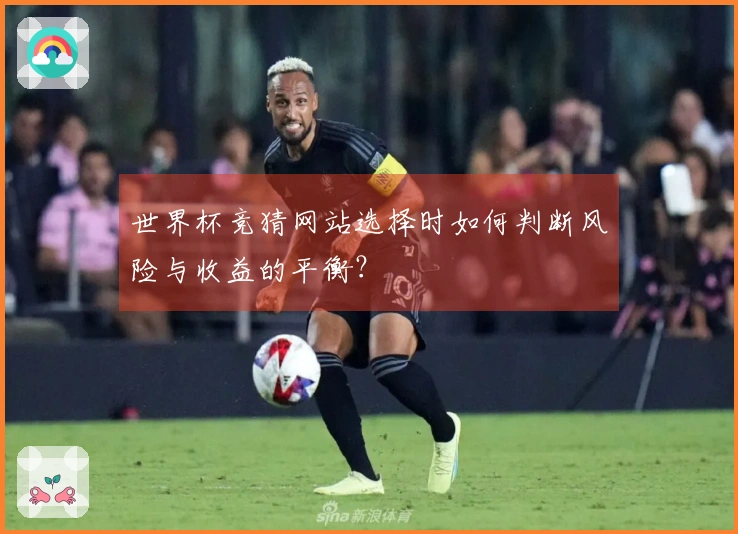 世界杯竞猜网站选择时如何判断风险与收益的平衡？