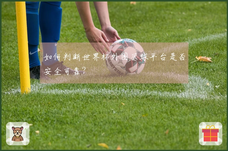 如何判断世界杯外围买球平台是否安全可靠？