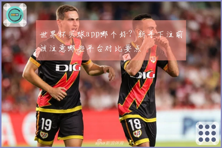 世界杯买球app哪个好？新手下注前该注意哪些平台对比要点