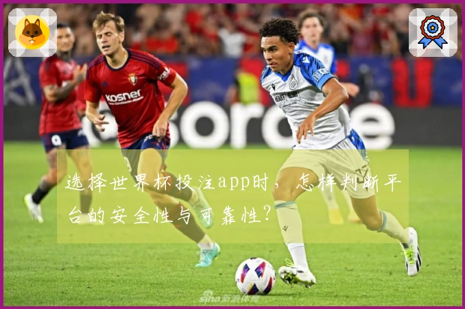 选择世界杯投注app时，怎样判断平台的安全性与可靠性？