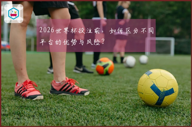 2026世界杯投注前，如何区分不同平台的优势与风险？