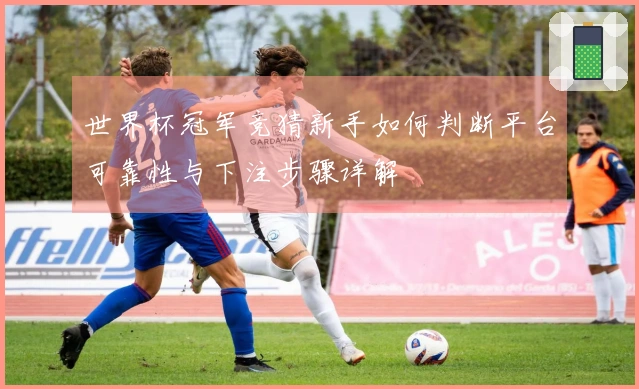 世界杯冠军竞猜新手如何判断平台可靠性与下注步骤详解