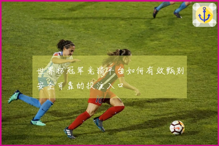 世界杯冠军竞猜平台如何有效甄别安全可靠的投注入口
