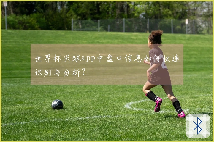 世界杯买球app中盘口信息如何快速识别与分析？