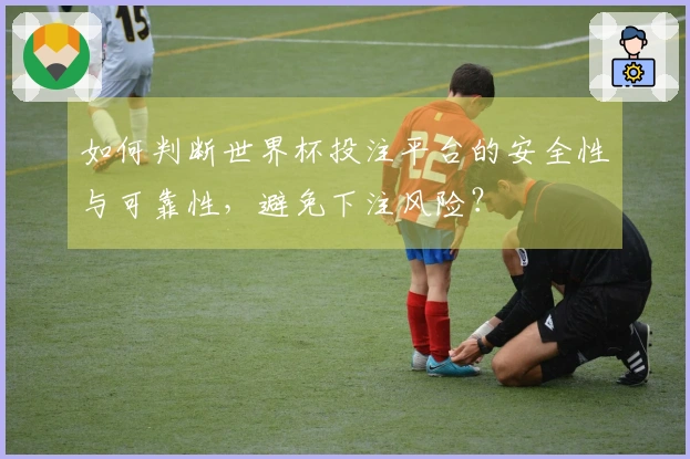 如何判断世界杯投注平台的安全性与可靠性，避免下注风险？