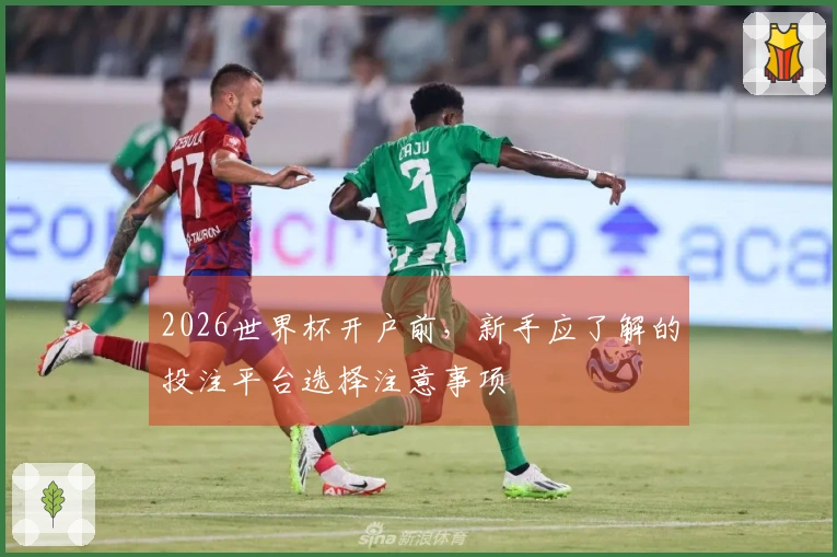 2026世界杯开户前，新手应了解的投注平台选择注意事项