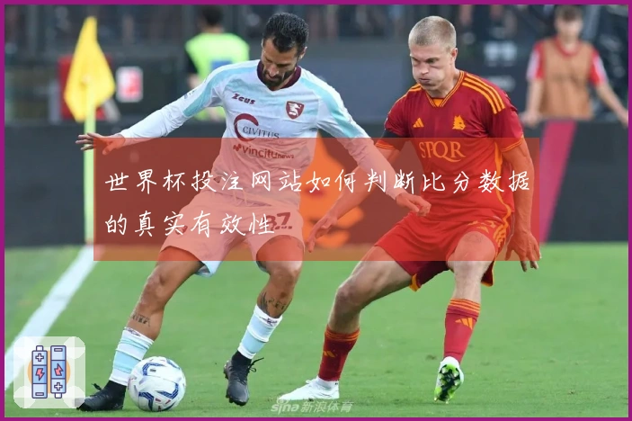 世界杯投注网站如何判断比分数据的真实有效性
