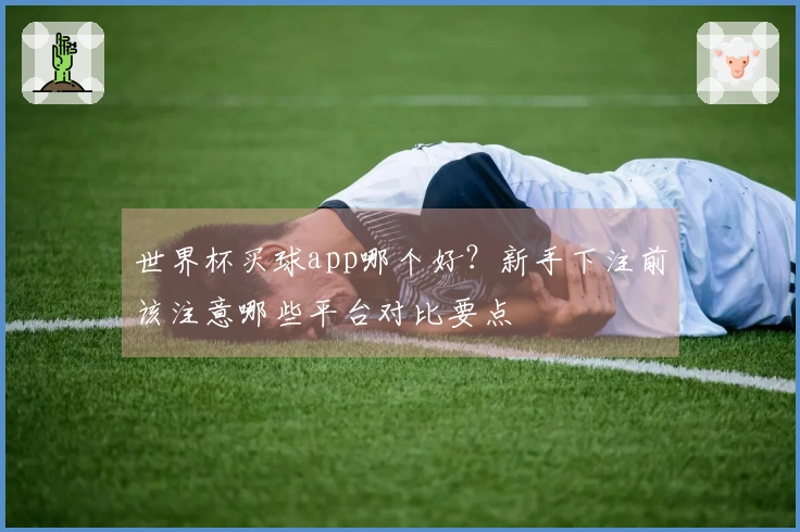 世界杯买球app哪个好？新手下注前该注意哪些平台对比要点