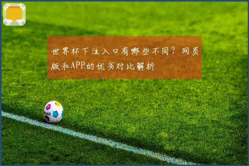 世界杯下注入口有哪些不同？网页版和APP的优劣对比解析