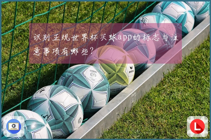 识别正规世界杯买球app的标志与注意事项有哪些？