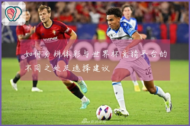 如何分辨体彩与世界杯竞猜平台的不同之处及选择建议