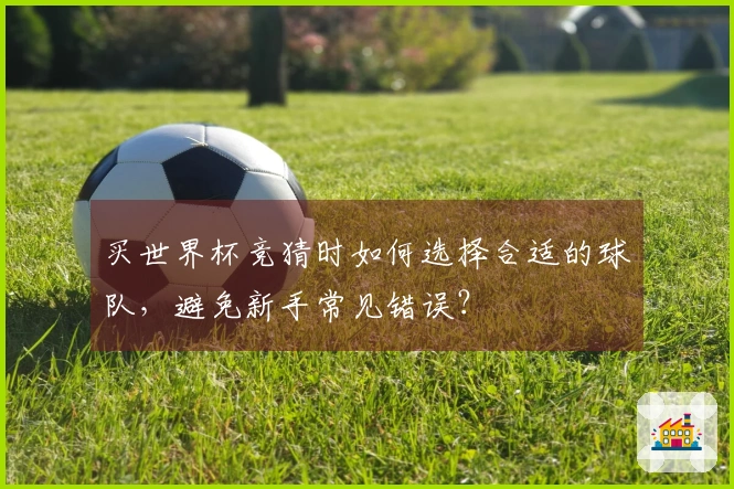 买世界杯竞猜时如何选择合适的球队，避免新手常见错误？