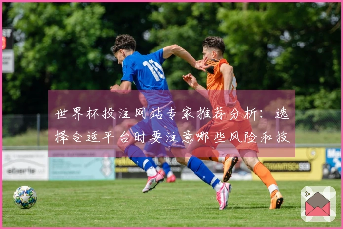 世界杯投注网站专家推荐分析：选择合适平台时要注意哪些风险和技巧