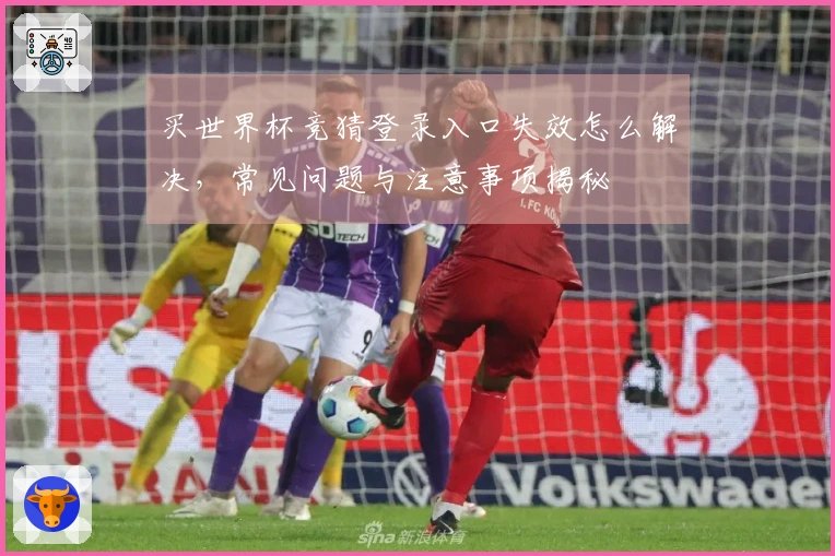 买世界杯竞猜登录入口失效怎么解决，常见问题与注意事项揭秘