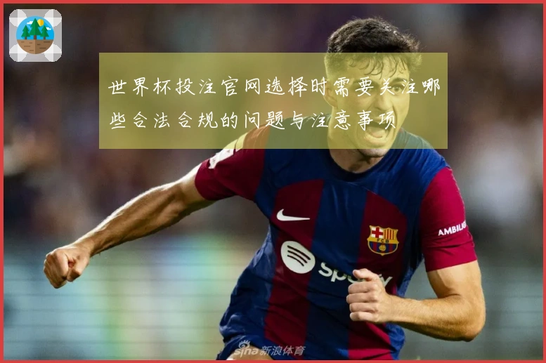 世界杯投注官网选择时需要关注哪些合法合规的问题与注意事项