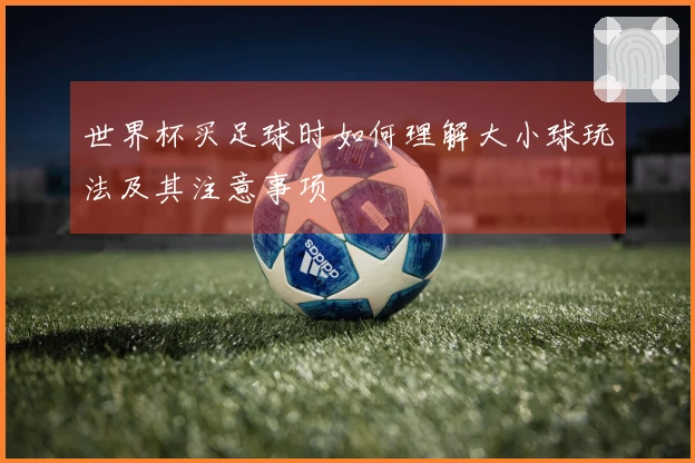 世界杯买足球时如何理解大小球玩法及其注意事项