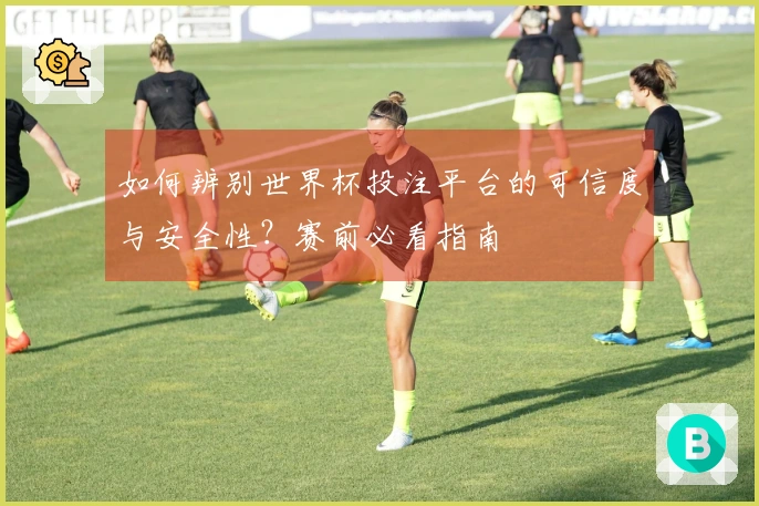 如何辨别世界杯投注平台的可信度与安全性？赛前必看指南
