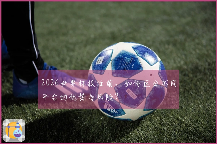 2026世界杯投注前，如何区分不同平台的优势与风险？