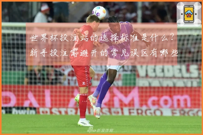 世界杯投注站的选择标准是什么？新手投注需避开的常见误区有哪些？