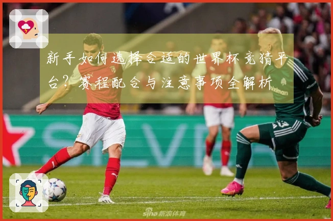 新手如何选择合适的世界杯竞猜平台？赛程配合与注意事项全解析