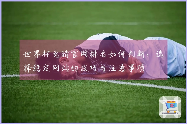 世界杯竞猜官网排名如何判断，选择稳定网站的技巧与注意事项
