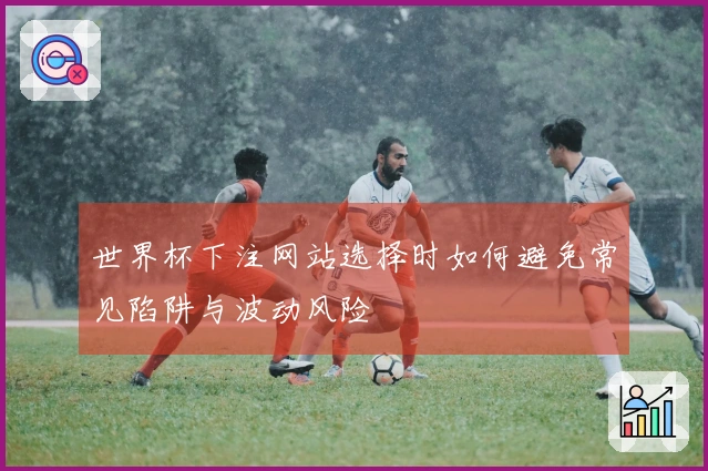 世界杯下注网站选择时如何避免常见陷阱与波动风险