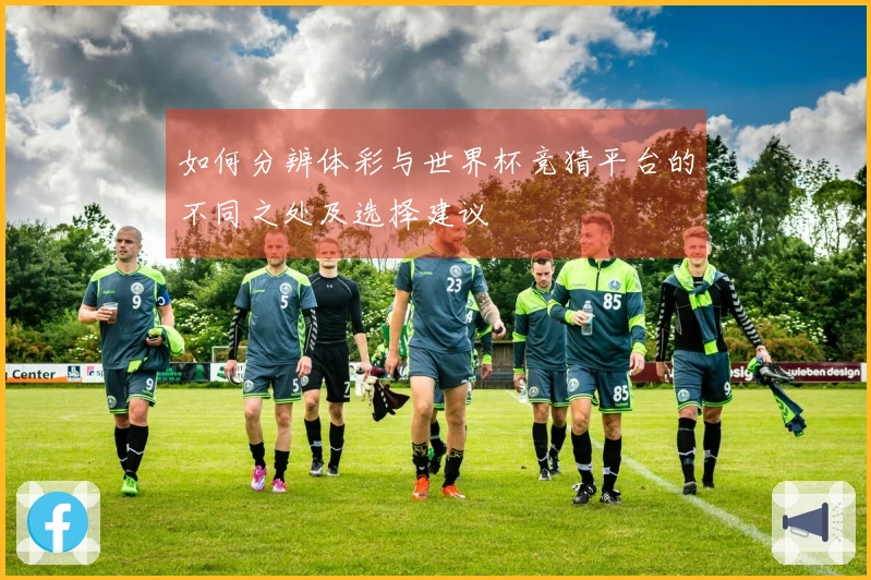 如何分辨体彩与世界杯竞猜平台的不同之处及选择建议