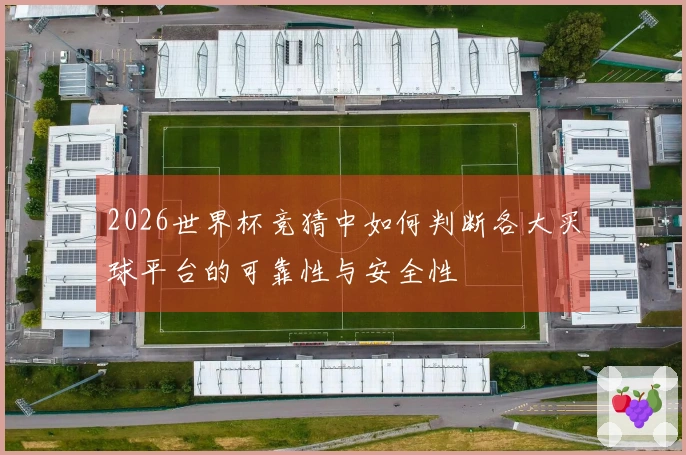 2026世界杯竞猜中如何判断各大买球平台的可靠性与安全性