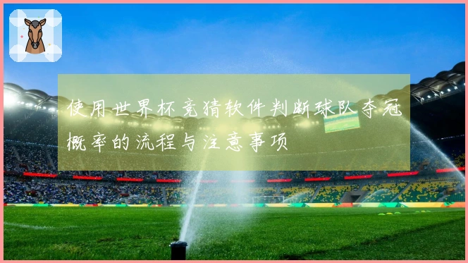 使用世界杯竞猜软件判断球队夺冠概率的流程与注意事项