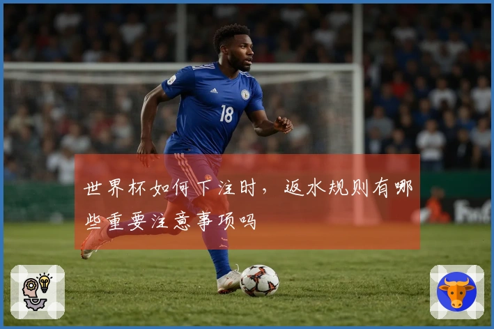 世界杯如何下注时,返水规则有哪些重要注意事项吗