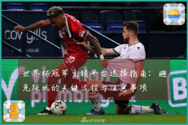 世界杯冠军竞猜平台选择指南：避免踩坑的关键流程与注意事项